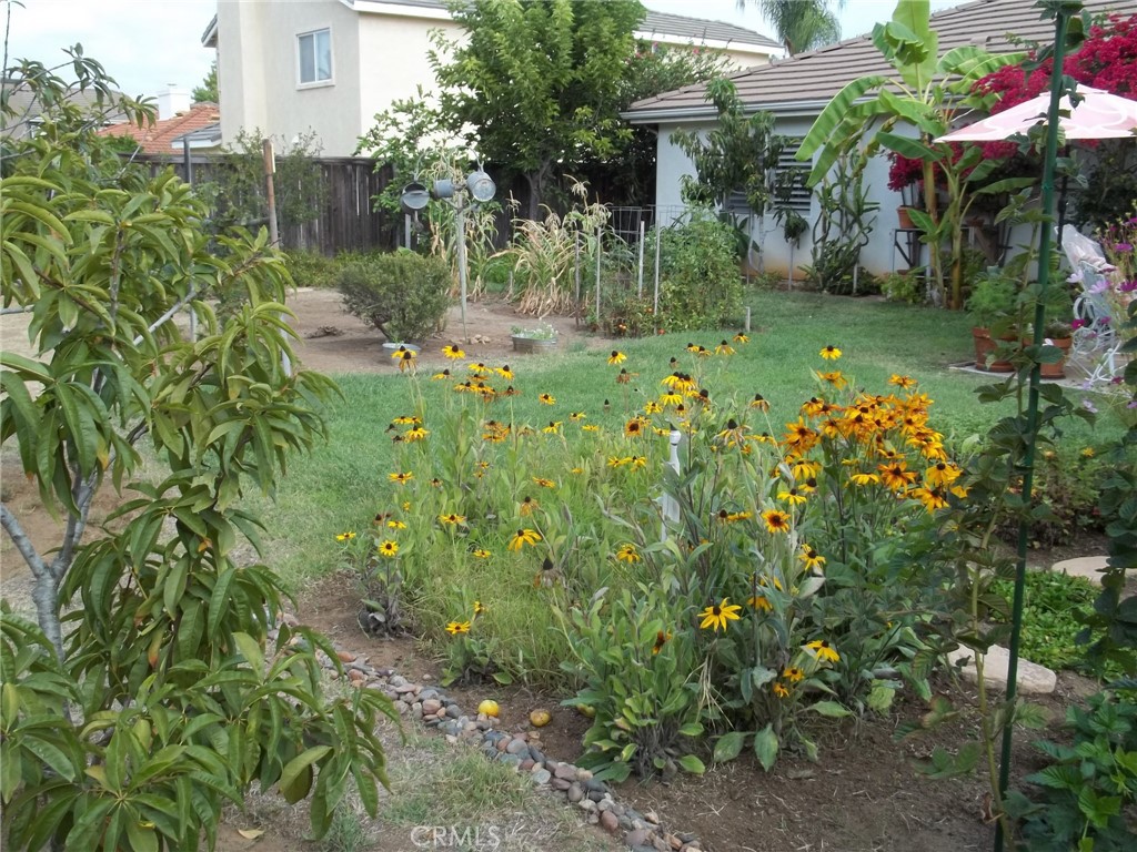 1647 Shire Avenue Property Photo 3