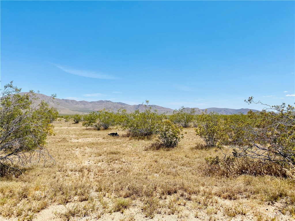 19555 Jackson Avenue Property Photo 1