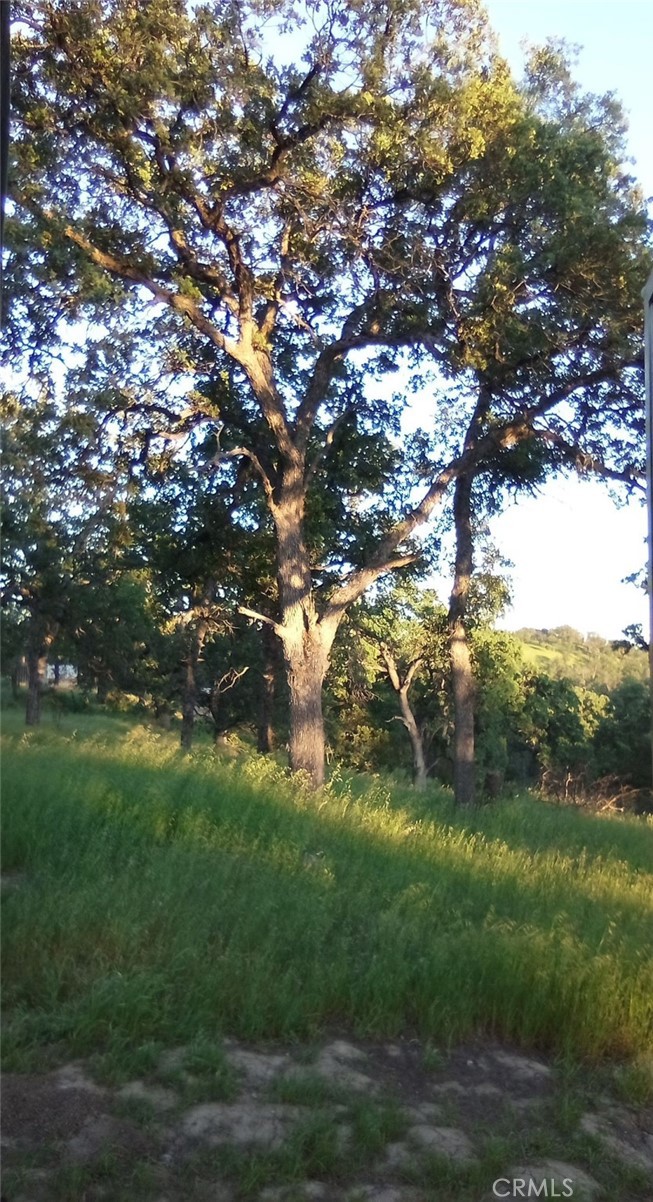 17065 Fawn Lane Property Photo 2
