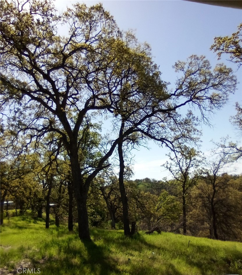 17065 Fawn Lane Property Photo 3