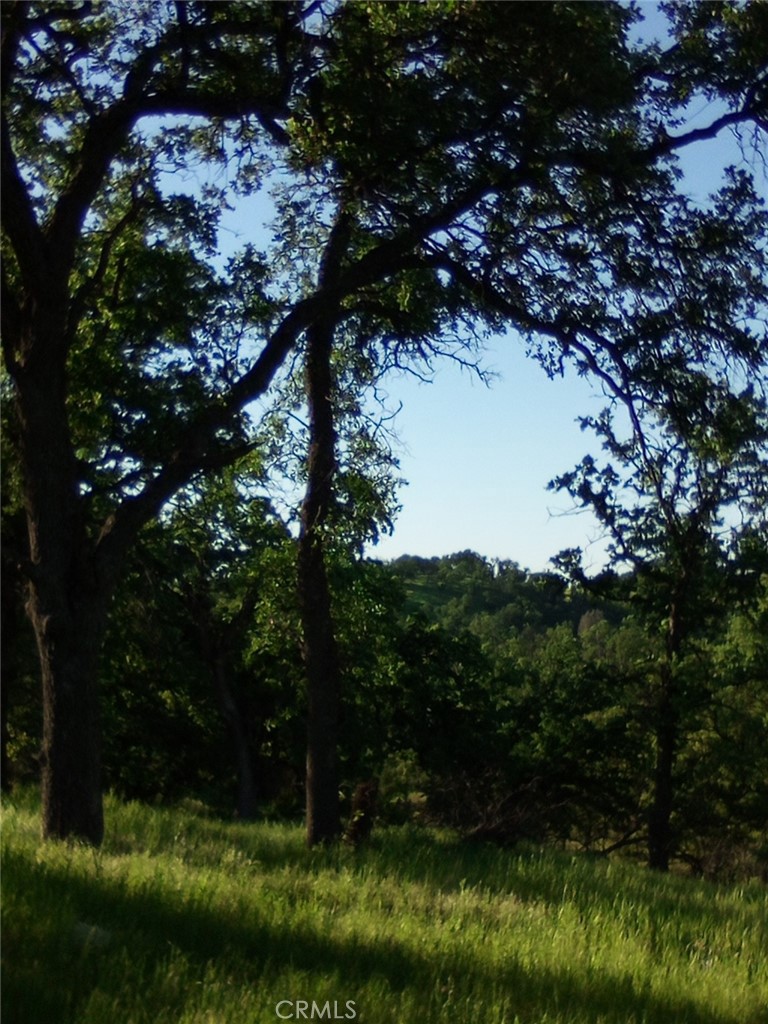 17065 Fawn Lane Property Photo 4