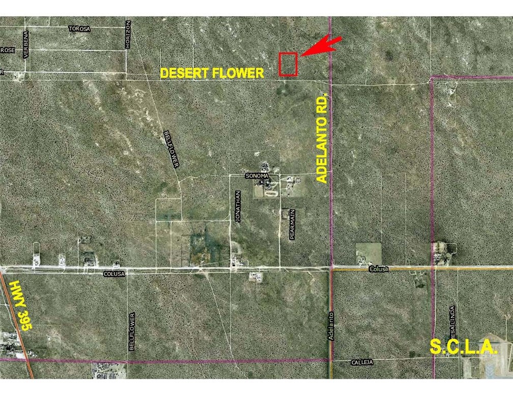 0 Desert Flower Rd. & Adelanto Rd. Road Property Photo 2