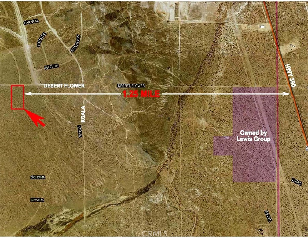 0 Desert Flower & Koala Rd. Avenue Property Photo 1