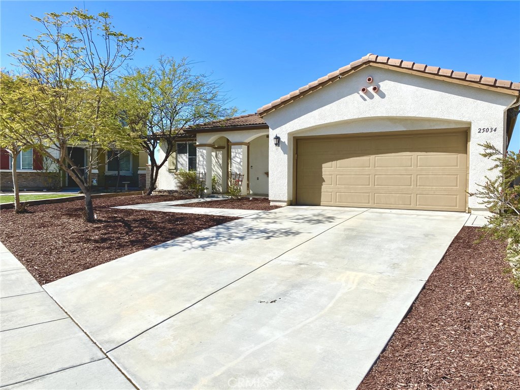 25034 Lost Colt Court Property Photo