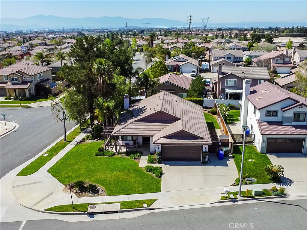 12225 Silverberry Street Property Photo 4