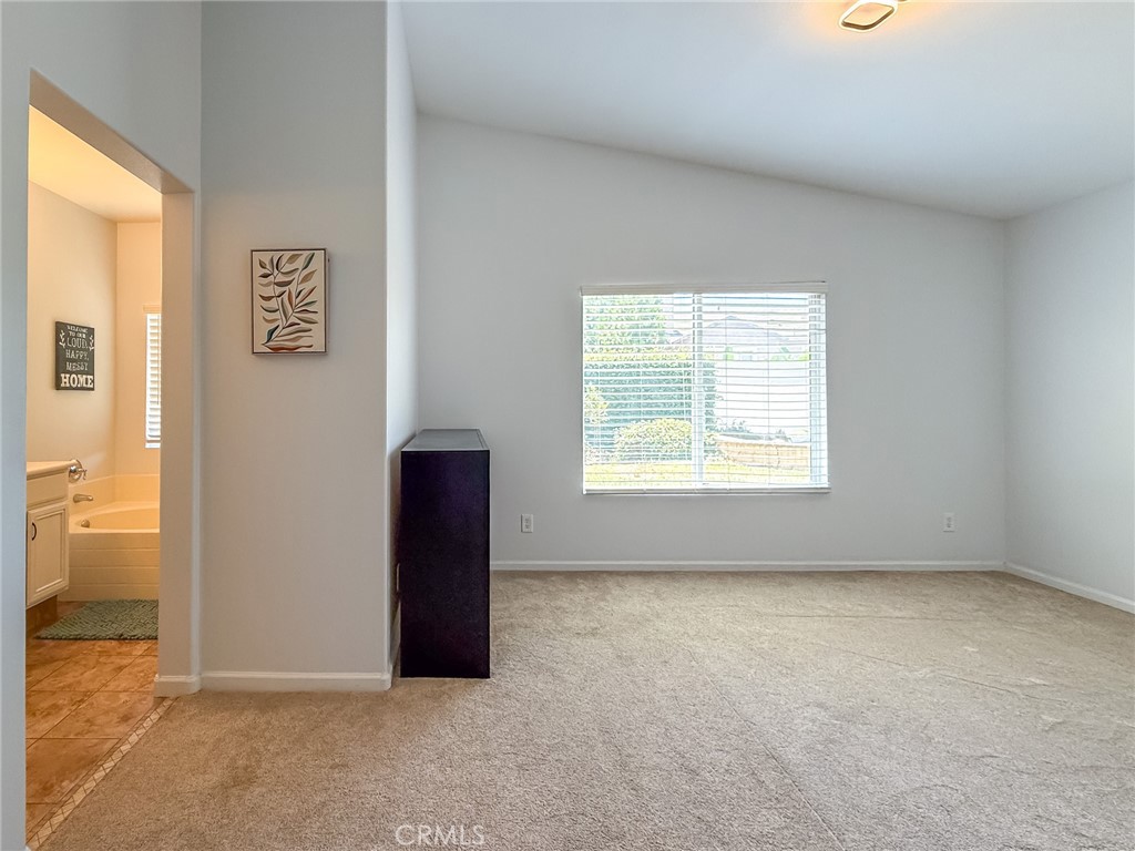 12225 Silverberry Street Property Photo 31