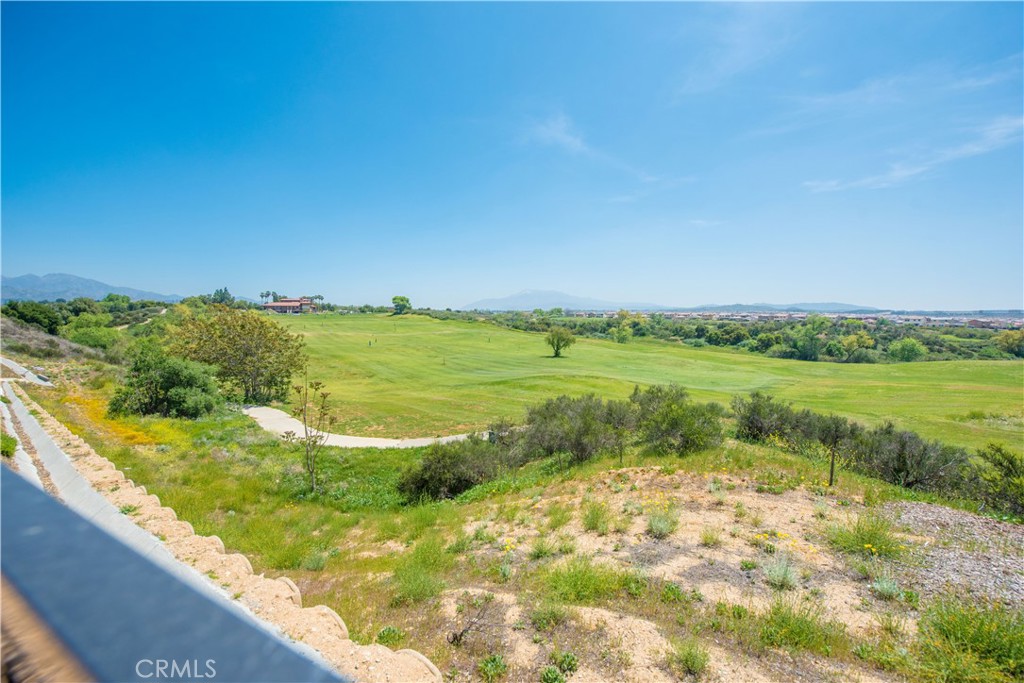 11534 Alana Lane Property Photo 48