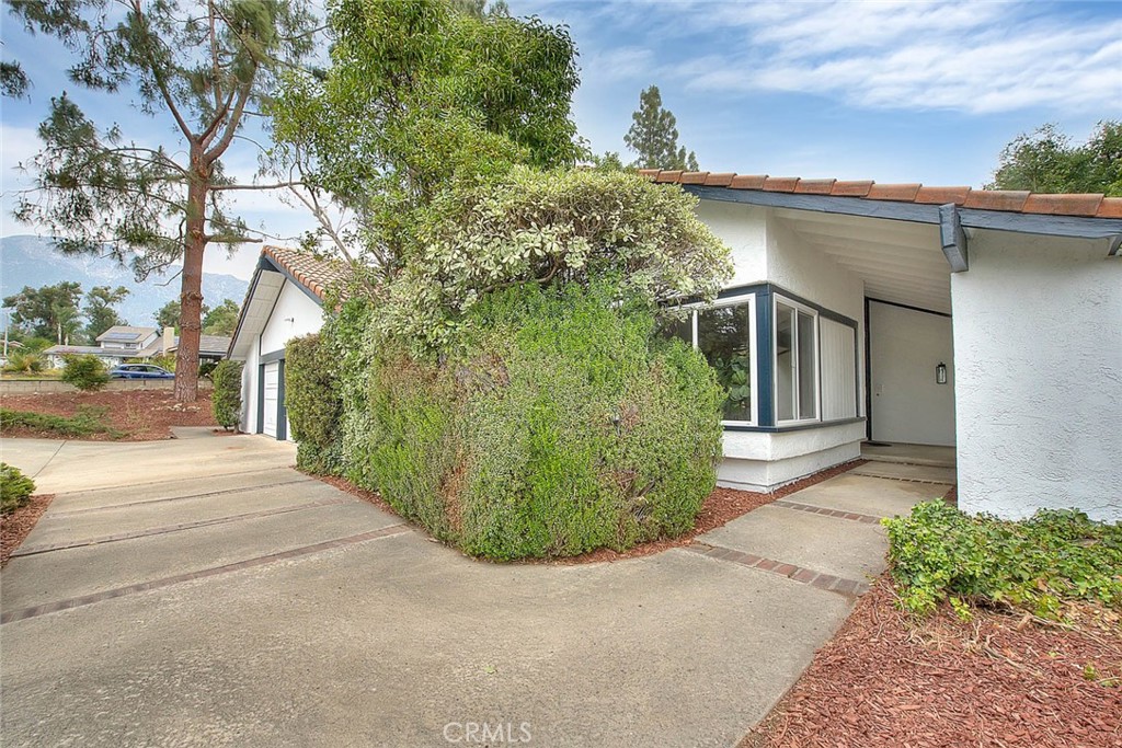 6087 Carol Avenue Property Photo 62