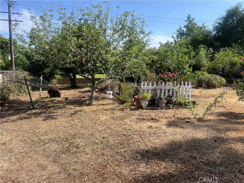 6087 Carol Avenue Property Photo 73
