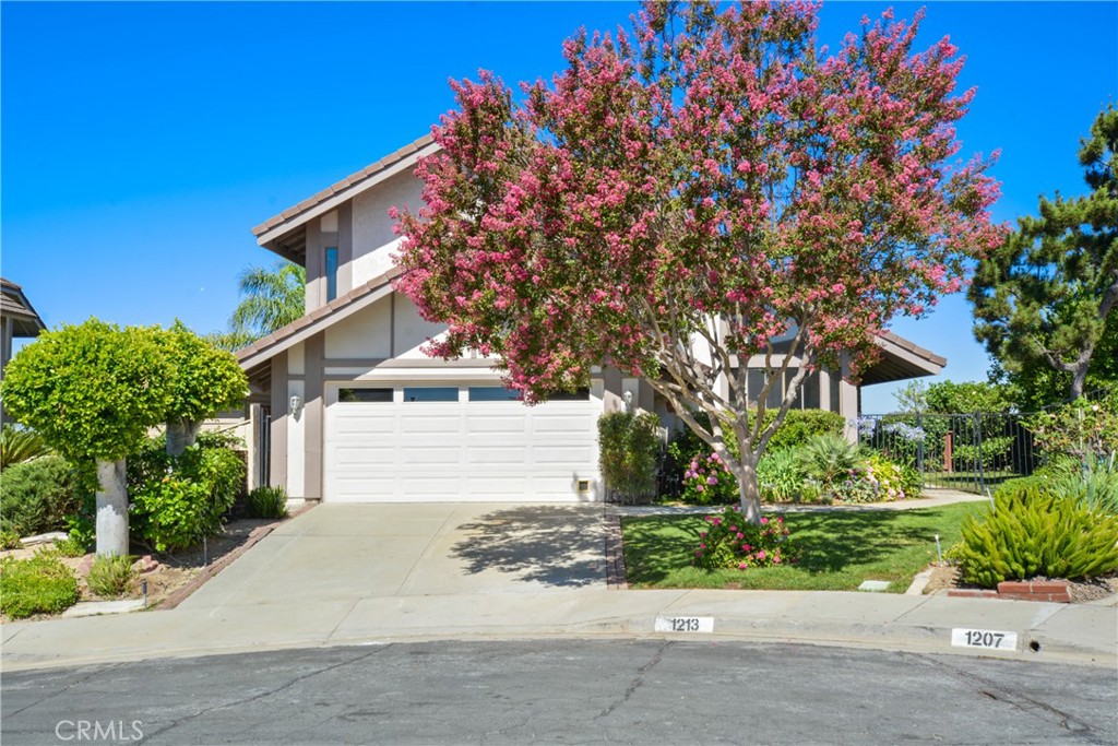 1213 Calle Vistaso Property Photo 1