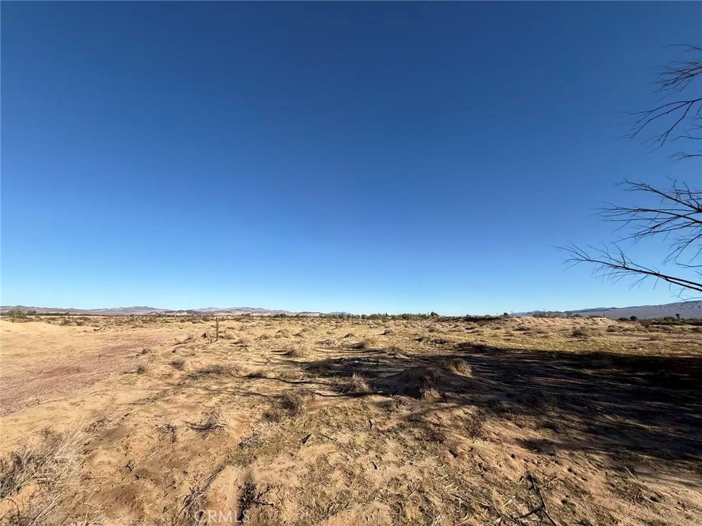 32467 Lakeview Property Photo 4