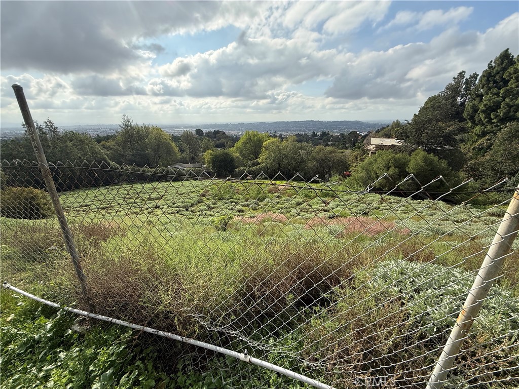 707 Dorothea Property Photo 1