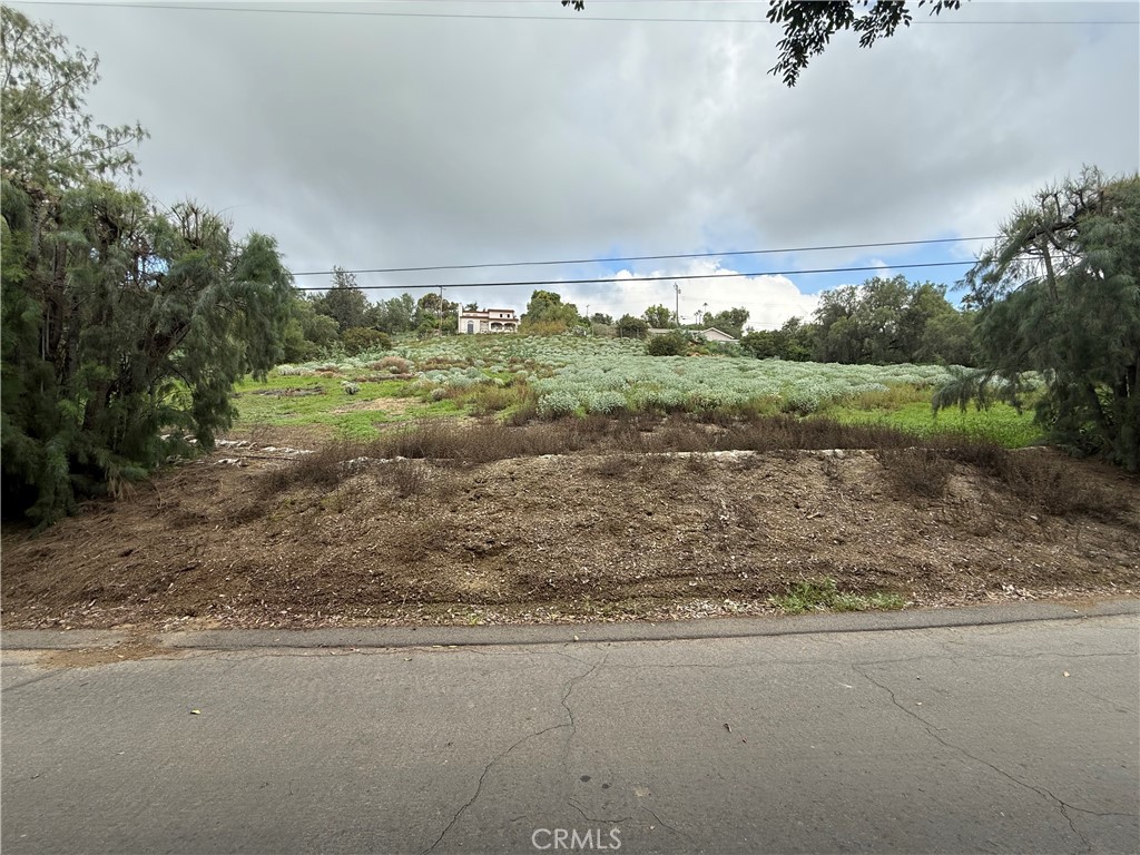 707 Dorothea Property Photo 4