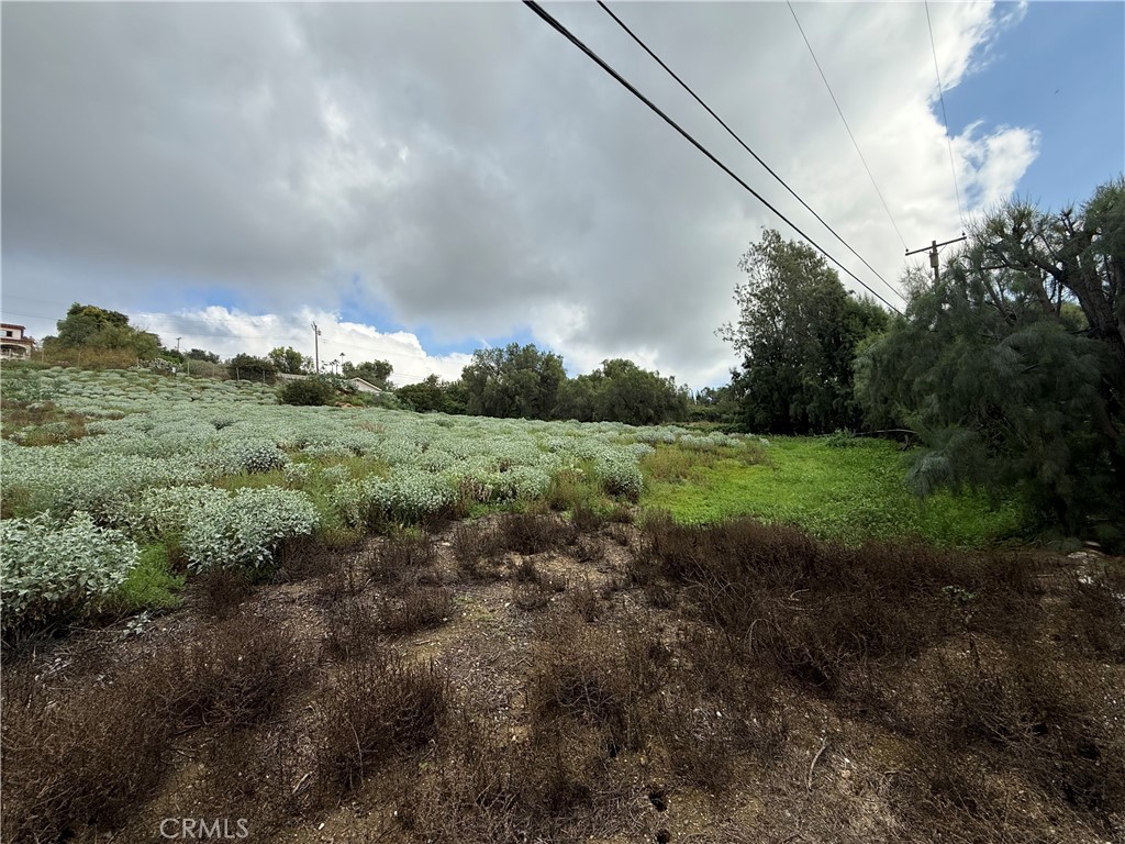 707 Dorothea Property Photo 5