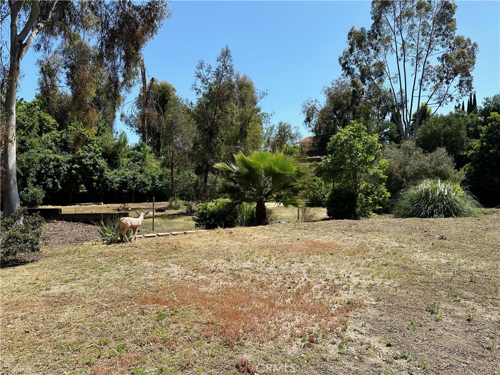 792 El Vallencito Property Photo 12