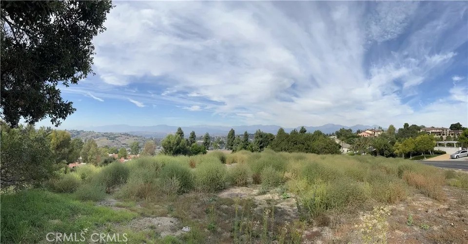 3121 Steeplechase Ln Property Photo 1