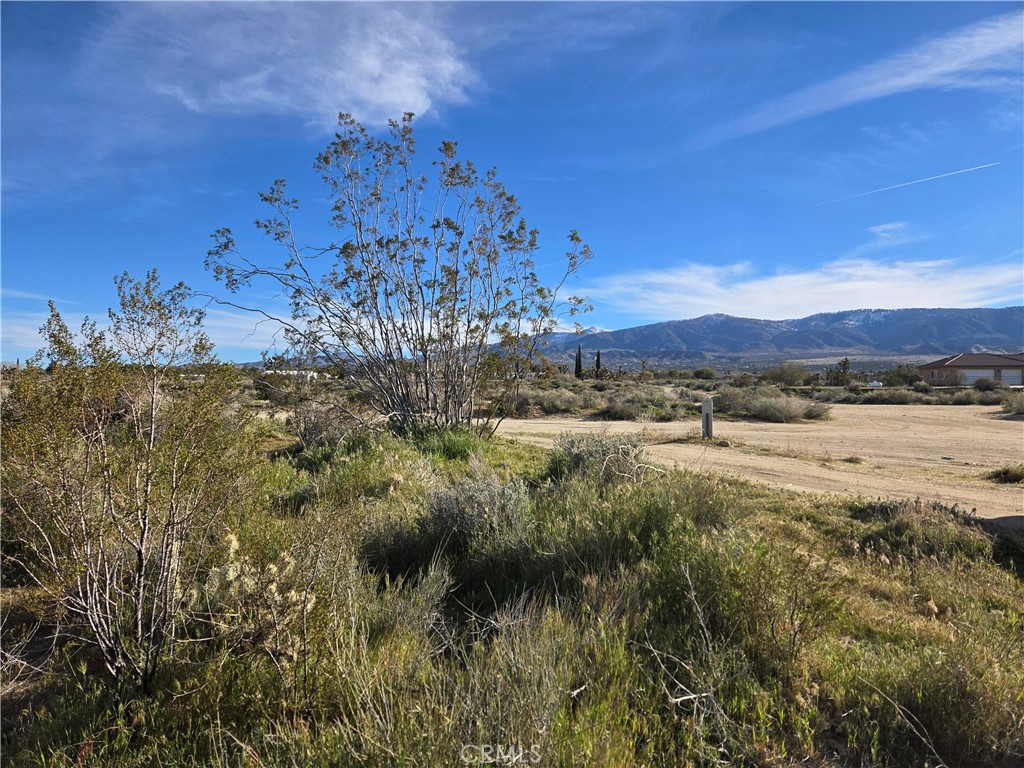 0 Mountain Road Property Photo 1