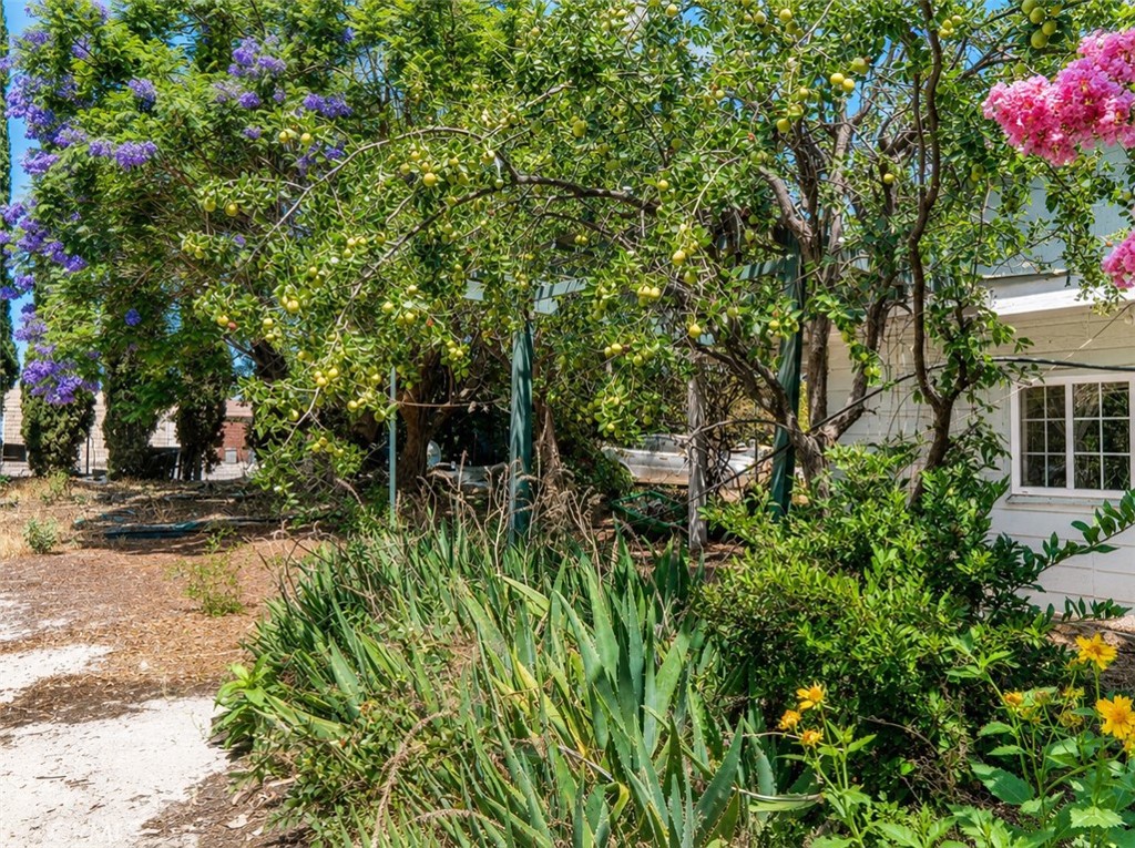 3843 Francis Avenue Property Photo 2