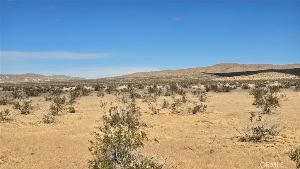 0 Vacant Land Property Photo 2