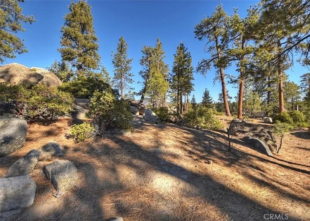 831 Cove Drive Property Photo 4