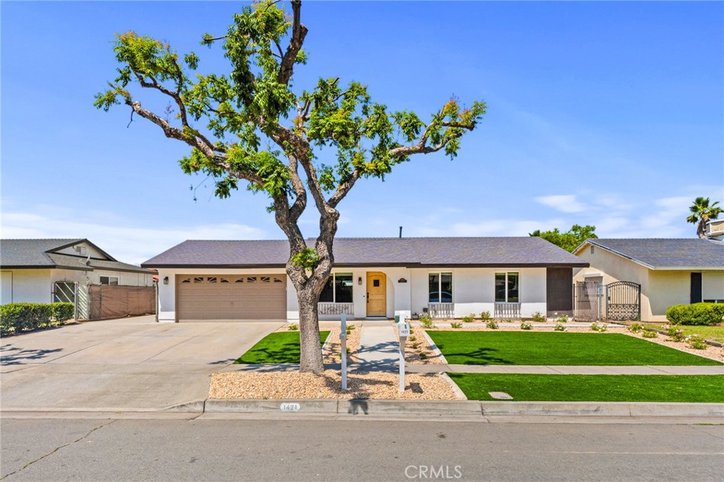 1421 De Anza Property Photo 2