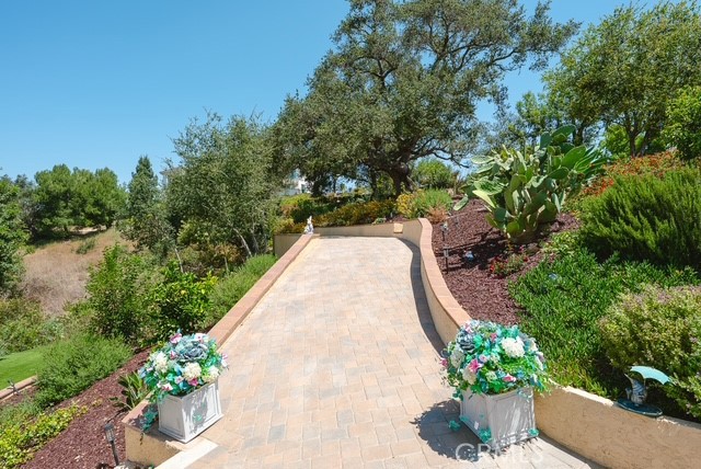 2633 Braided Mane Property Photo 31