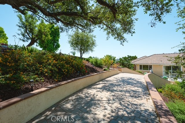 2633 Braided Mane Property Photo 32