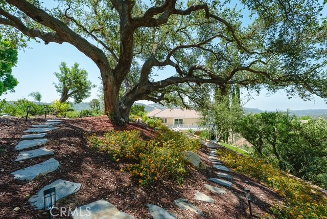 2633 Braided Mane Property Photo 35