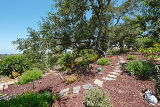 2633 Braided Mane Property Photo 36