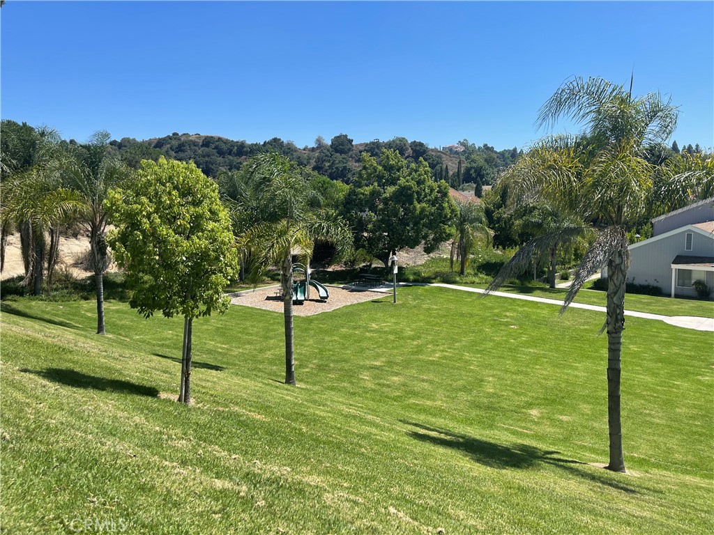 1047 Canyon Spring Lane Property Photo 18