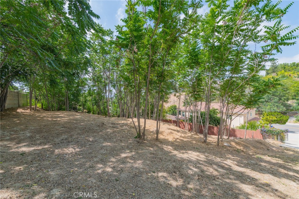 420 Camino De Gloria Property Photo 4