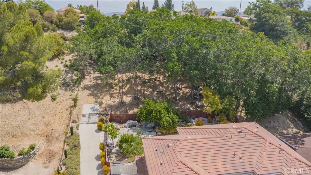420 Camino De Gloria Property Photo 5