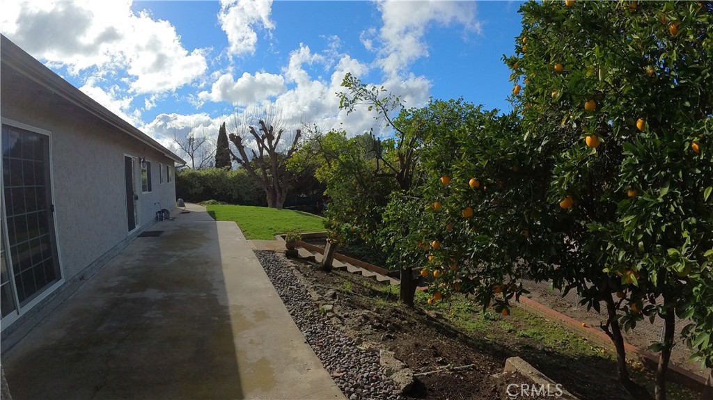 2857 Calle Damasco Property Photo 3