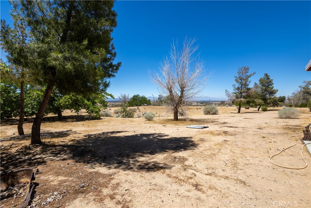 16728 Shirwaun Property Photo 47