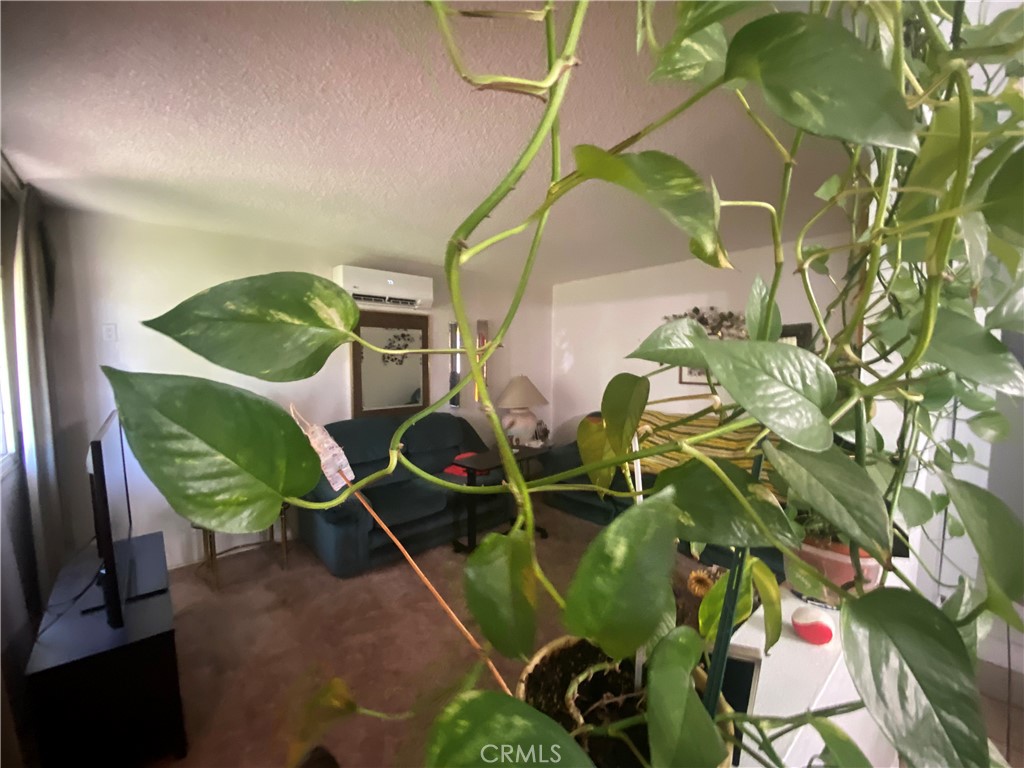 550 Whiteford Property Photo 26
