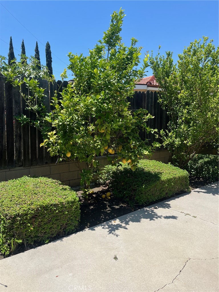 1440 Lindengrove Avenue Property Photo 12