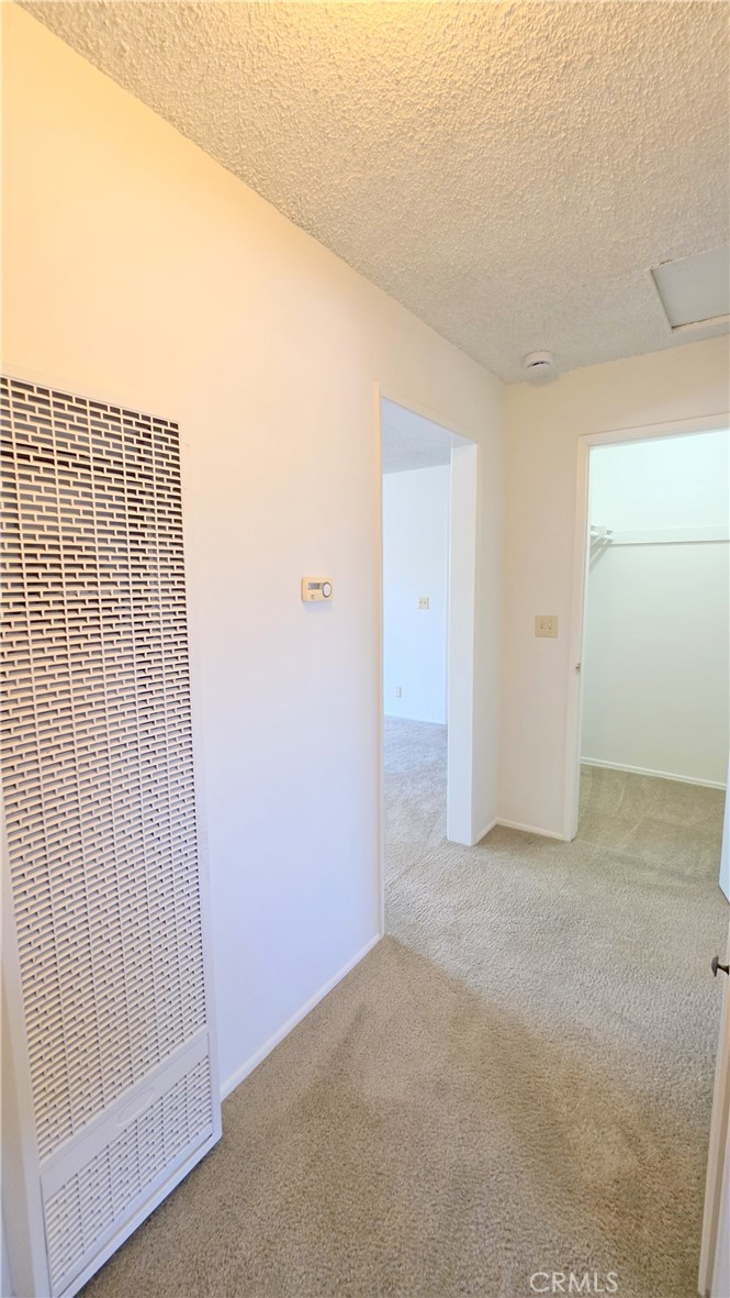 1086 Springfield Street D Property Photo 16