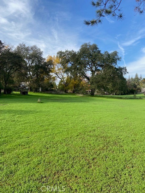 2804 California Avenue Property Photo 3