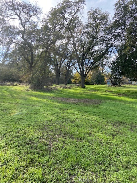 2804 California Avenue Property Photo 5