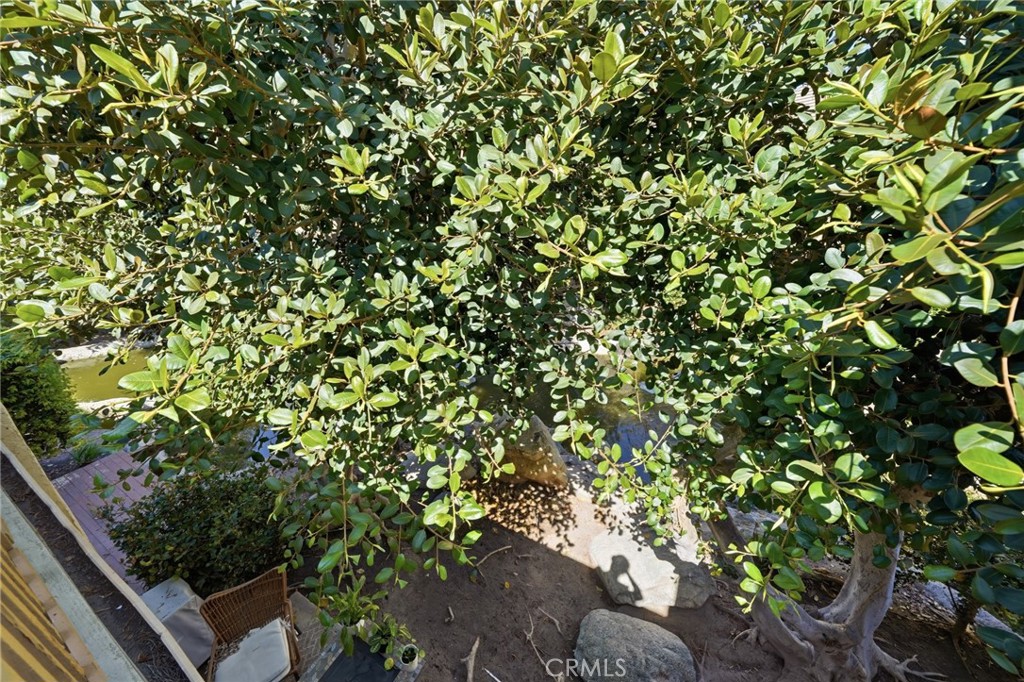 127 Lemon Property Photo 20