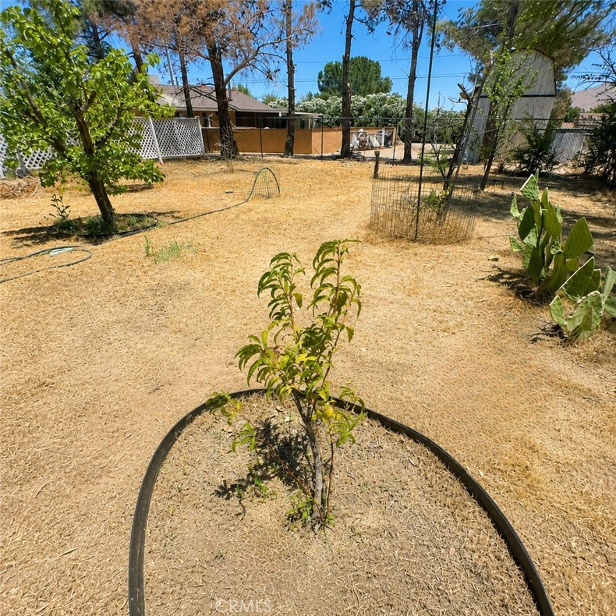 18865 Felton Property Photo 16