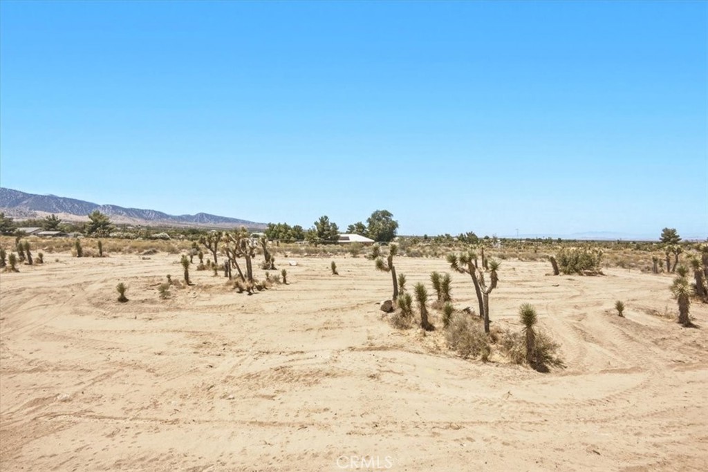 11074 Ponderosa Road Property Photo 30