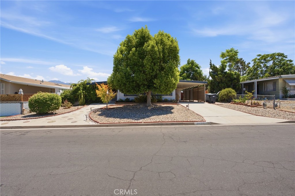26024 Chelsea Property Photo 6