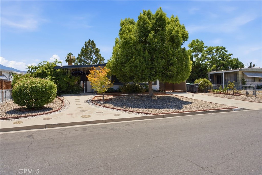 26024 Chelsea Property Photo 7