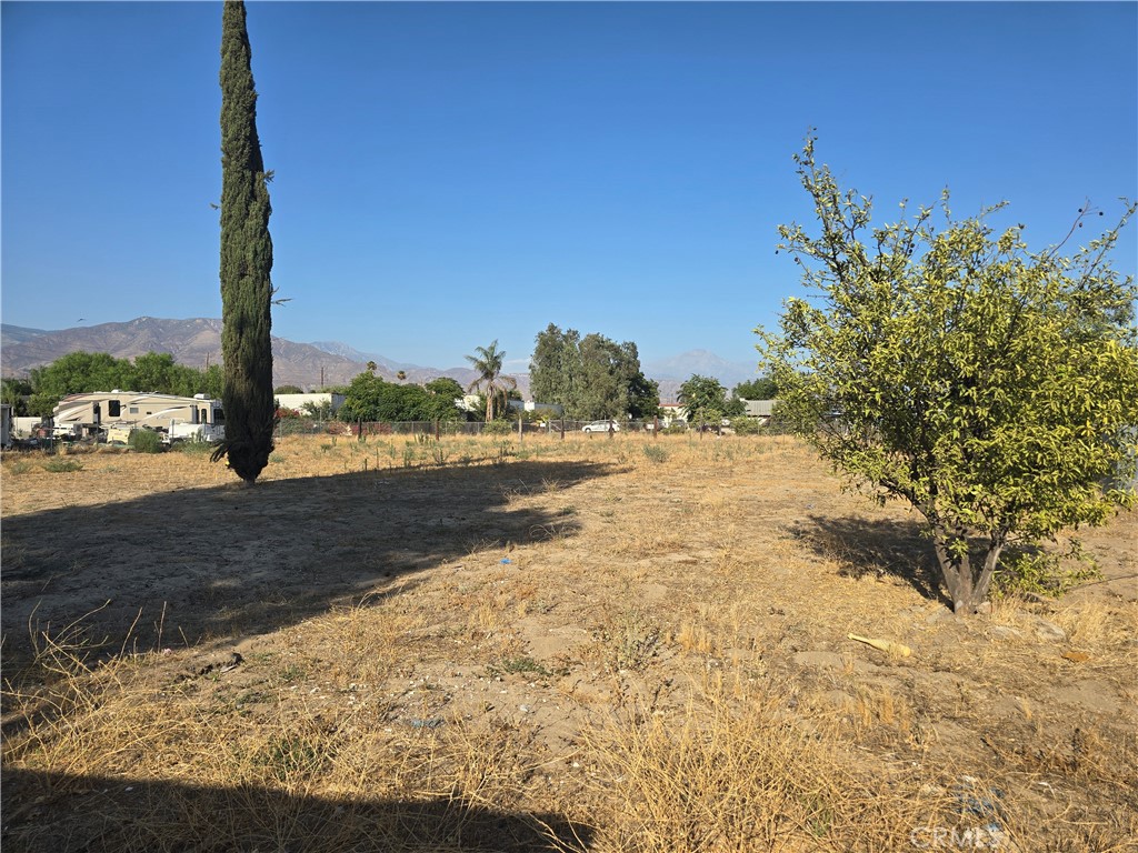 7753 Lankershim Avenue Property Photo 2