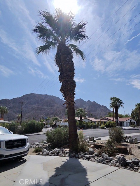 77444 Calle Portrero Property Photo 15