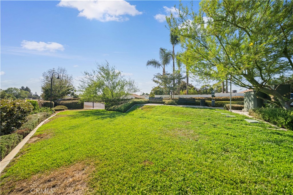 1530 W Cameron Property Photo 46