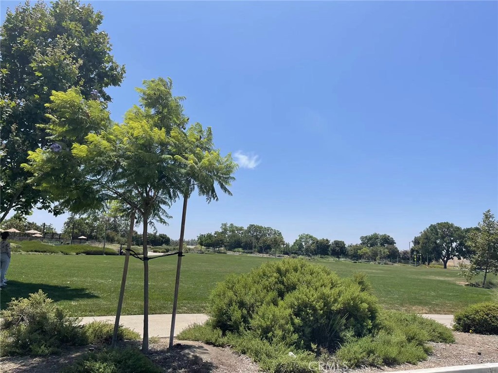 159 Fieldwood Property Photo 14