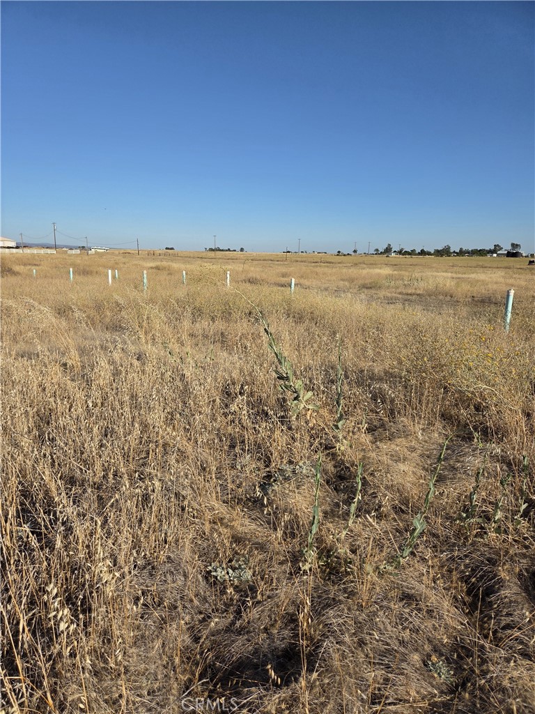4395 Tecate Road Property Photo 15