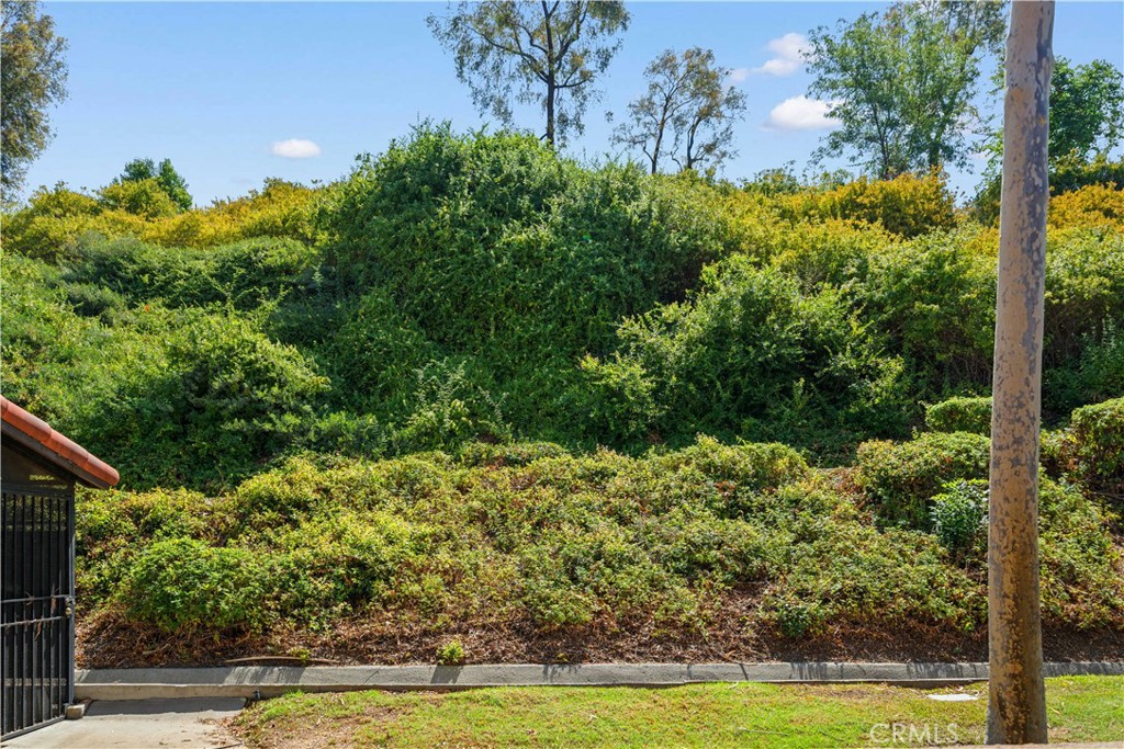 1450 Kauai Street Property Photo 30